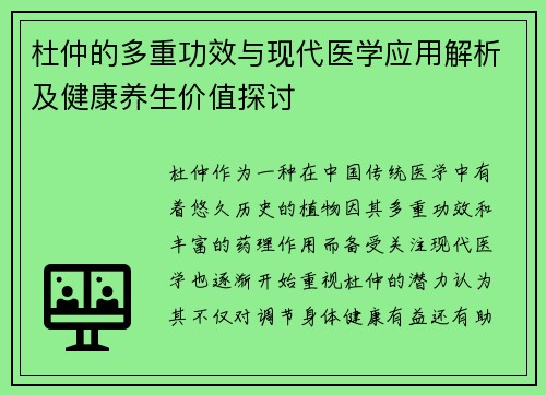 杜仲的多重功效与现代医学应用解析及健康养生价值探讨